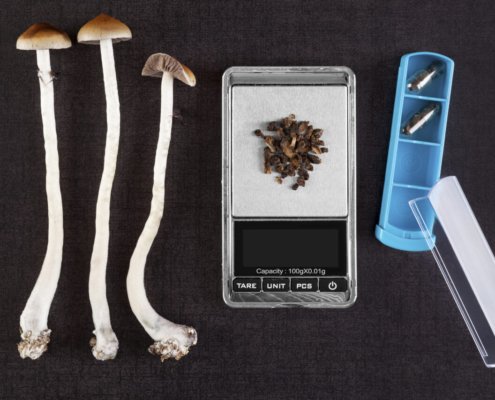 new-mexico-governor-signs-off-on-medical-psilocybin-act-|-where-to-order-skittles-moonrock-online