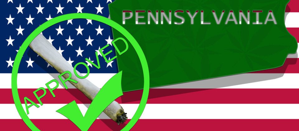 pennsylvania’s-medical-market-does-not-want-state-run-stores-|-how-to-buy-skittles-moonrock-online