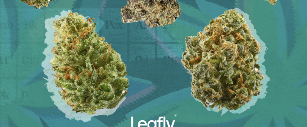 america’s-hottest-cannabis-of-420-2025-|-where-to-order-skittles-moonrock-online