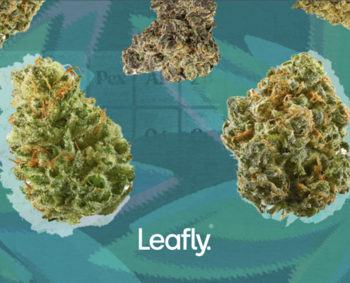 america’s-hottest-cannabis-of-420-2025-|-where-to-order-skittles-moonrock-online