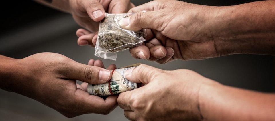 report-finds-legalization-cut-into-canada’s-illicit-market-|-where-to-buy-skittles-moonrock-online