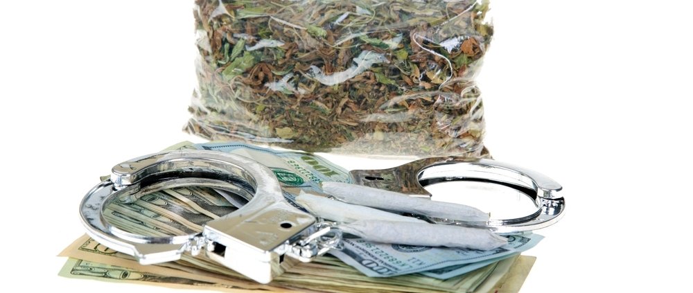 california-seizes-over-$316-million-of-illegal-cannabis-|-where-to-order-skittles-moonrock-online