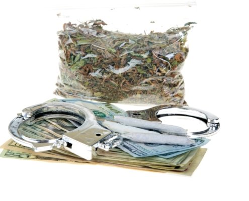 california-seizes-over-$316-million-of-illegal-cannabis-|-where-to-order-skittles-moonrock-online