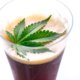 hemp-beverages-beat-craft-beers-when-it-comes-to-tariffs-|-where-to-order-skittles-moonrock-online