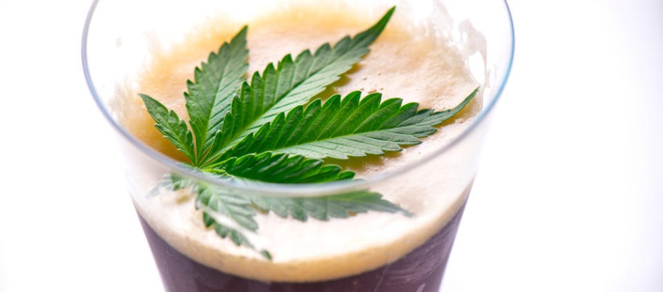 hemp-beverages-beat-craft-beers-when-it-comes-to-tariffs-|-where-to-order-skittles-moonrock-online