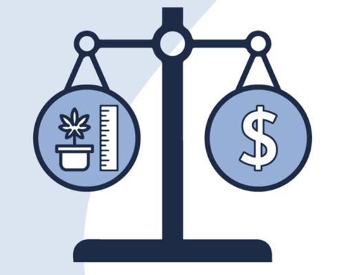 poll:-most-canadians-support-cannabis-industry-expansion-|-where-to-buy-skittles-moonrock-online