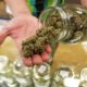 missouri-marijuana-sales-holding-steady-in-2025-|-how-to-buy-skittles-moonrock-online