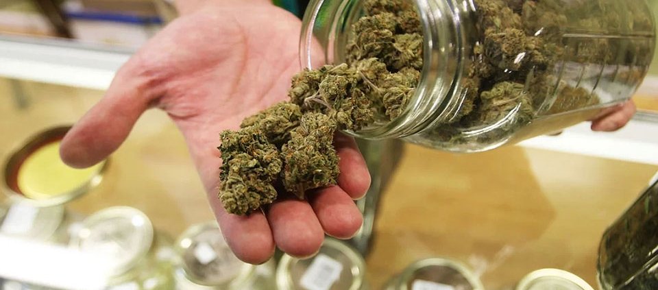 missouri-marijuana-sales-holding-steady-in-2025-|-how-to-buy-skittles-moonrock-online