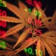tilray-proposes-reverse-split-to-drive-share-price-higher-|-how-to-order-skittles-moonrock-online