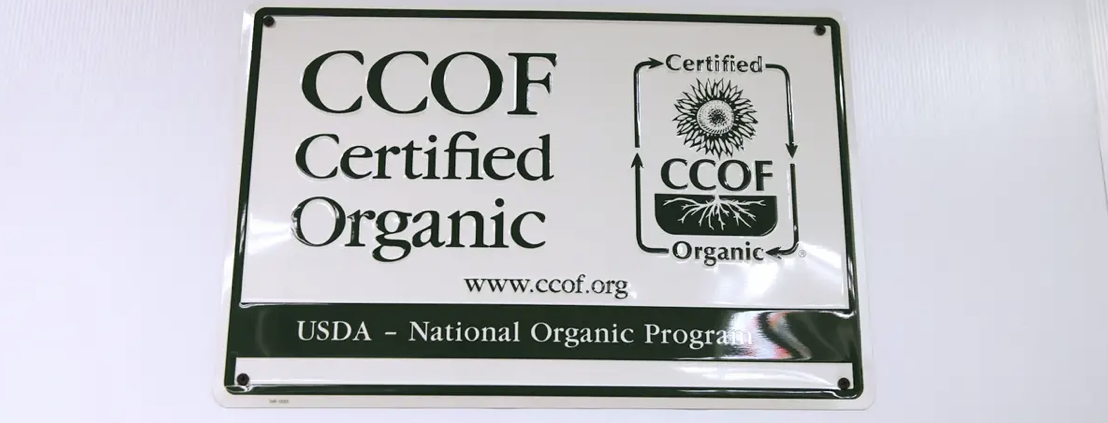 how-is-thca-flower-tested?-|-cannabis-law-report-|-where-to-buy-skittles-moonrock-online