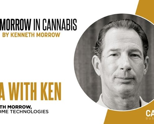 how-to-manage-an-inherited-powdery-mildew-outbreak-|-how-to-buy-skittles-moonrock-online