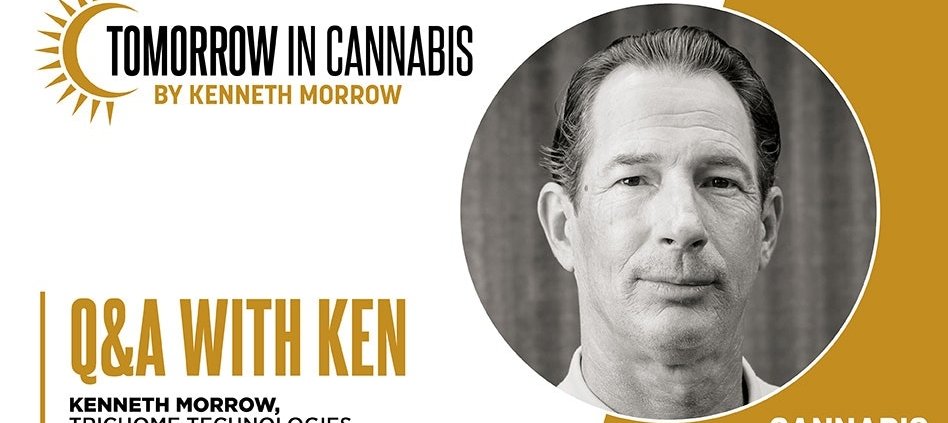 how-to-manage-an-inherited-powdery-mildew-outbreak-|-how-to-buy-skittles-moonrock-online