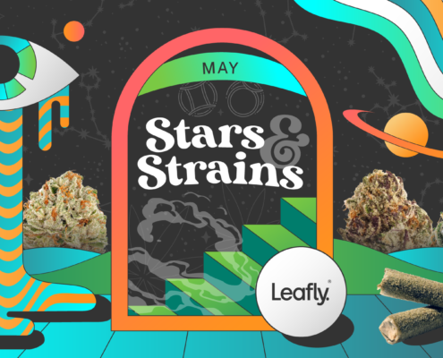 star-signs-and-cannabis-strains:-may-2025-horoscopes-|-where-to-order-skittles-moonrock-online