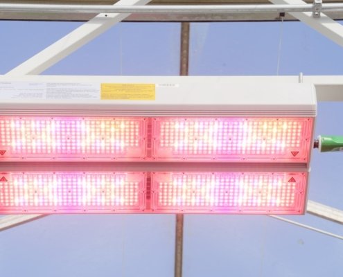 dynamic-led-lighting:-what-commercial-growers-should-know-|-how-to-buy-skittles-moonrock-online