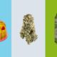 product-picks-for-this-memorial-day-weekend-|-how-to-order-skittles-moonrock-online