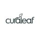 curaleaf-opens-67th-florida-dispensary-in-punta-gorda-|-how-to-order-skittles-moonrock-online