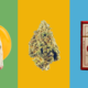 father’s-day-weed-gift-guide-|-where-to-order-skittles-moonrock-online