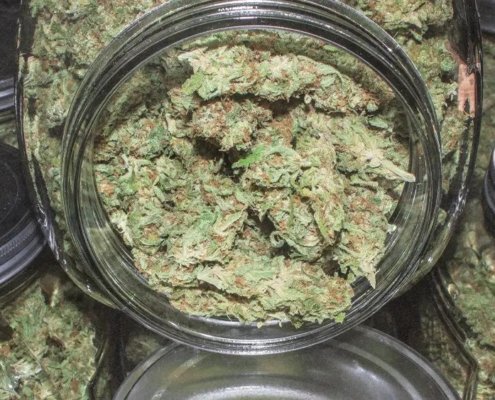 ohio-raises-cannabis-purchasing-limit-–-ganjapreneur-|-how-to-buy-skittles-moonrock-online
