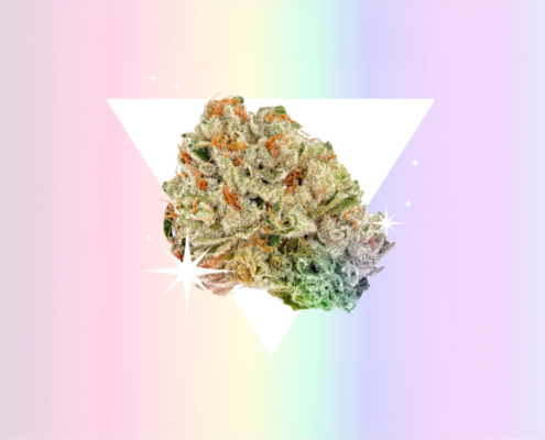 what-is-leafly’s-queer-staff-smoking-this-pride?-|-how-to-buy-skittles-moonrock-online