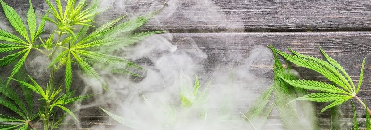 raw-rolling-papers-founder-buys-high-times-–-ganjapreneur-|-how-to-order-skittles-moonrock-online