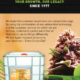 world-class-growing-solutions-|-how-to-order-skittles-moonrock-online
