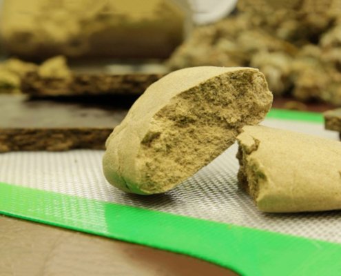 the-best-strains-for-making-hash-|-where-to-buy-skittles-moonrock-online