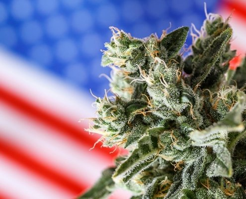 dea-provides-no-cannabis-rescheduling-update-after-180-days-|-how-to-buy-skittles-moonrock-online