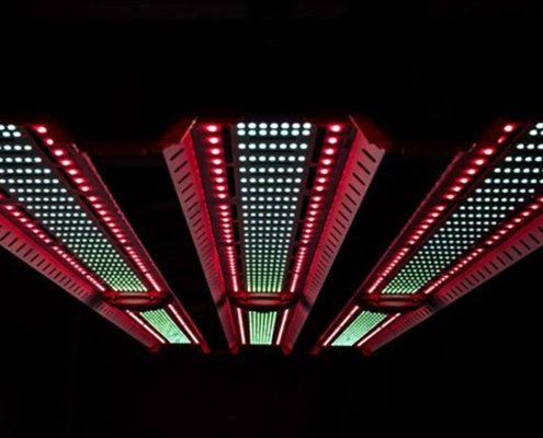 jumplights-launches-ets-max-horticultural-grow-light-|-where-to-order-skittles-moonrock-online