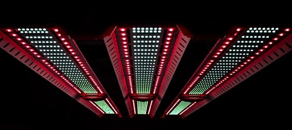 jumplights-launches-ets-max-horticultural-grow-light-|-where-to-order-skittles-moonrock-online