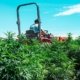us-lawmakers-advance-bill-to-ban-hemp-products-with-thc-|-how-to-buy-skittles-moonrock-online