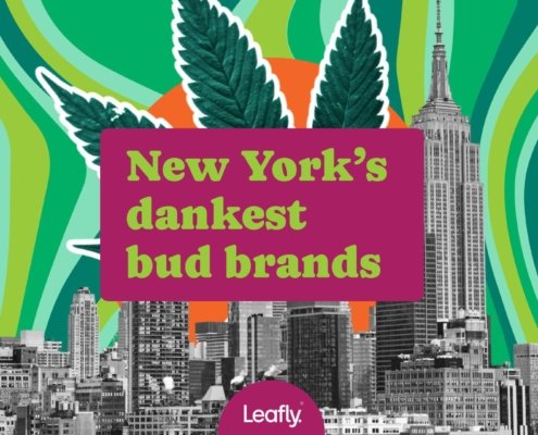 discover-new-york’s-top-cannabis-brands-[july-2025]-|-where-to-order-skittles-moonrock-online