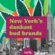 discover-new-york’s-top-cannabis-brands-[july-2025]-|-where-to-order-skittles-moonrock-online