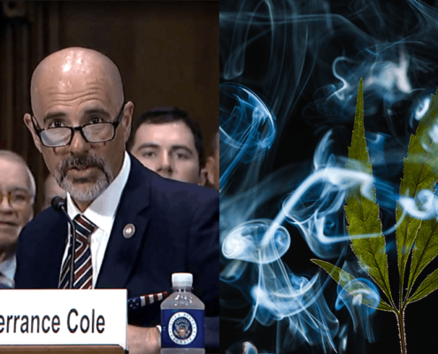 us-senate-sets-cloture-vote-on-trump’s-dea-administrator-pick-|-how-to-buy-skittles-moonrock-online