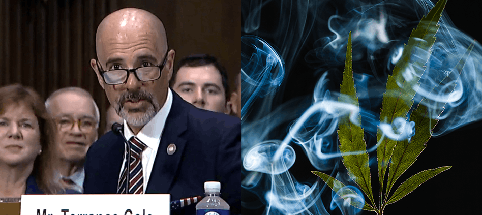 us-senate-sets-cloture-vote-on-trump’s-dea-administrator-pick-|-how-to-buy-skittles-moonrock-online