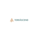 terrascend-renews,-replenishes-$10m-share-repurchase-program-|-where-to-buy-skittles-moonrock-online