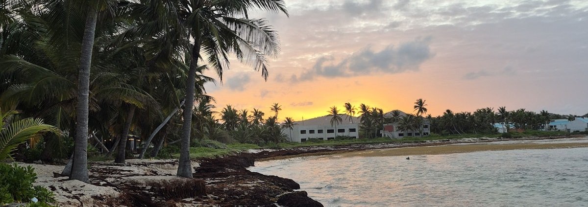 caribbean-cannabis:-a-local-look-at-the-us.-virgin-islands-|-how-to-buy-skittles-moonrock-online