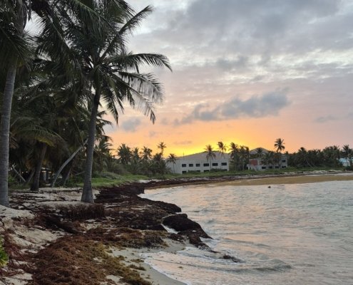 caribbean-cannabis:-a-local-look-at-the-us.-virgin-islands-|-how-to-buy-skittles-moonrock-online