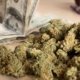 massachusetts-medical-cannabis-sales-drop-40%-since-2021-peak-|-how-to-buy-skittles-moonrock-online
