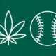 the-3-strains-you-need-for-the-mariners-|-how-to-buy-skittles-moonrock-online