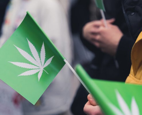 c-|-how-to-buy-skittles-moonrock-online