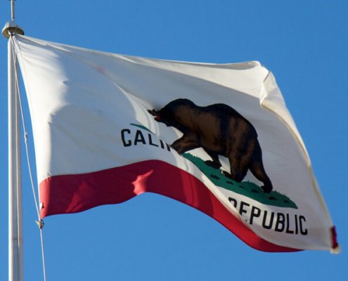 c-|-where-to-order-skittles-moonrock-online