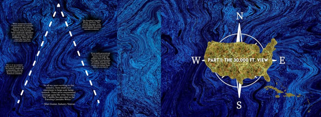 c-|-how-to-order-skittles-moonrock-online