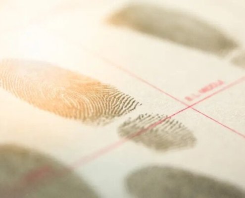 c-|-how-to-buy-skittles-moonrock-online