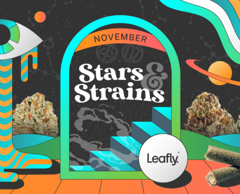 star-signs-and-cannabis-strains:-november-2025-horoscopes-|-where-to-buy-skittles-moonrock-online