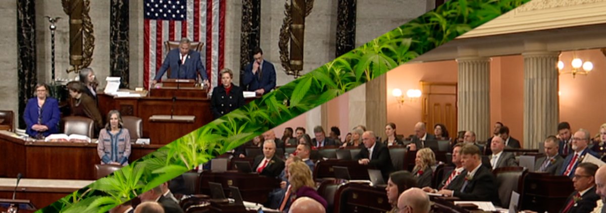 congress-is-set-to-ban-hemp-ohio-may-not-comply.-|-how-to-buy-skittles-moonrock-online