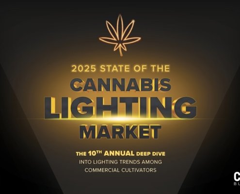 2025-state-of-the-cannabis-lighting-market-|-where-to-order-skittles-moonrock-online