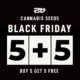 take-black-friday-to-a-whole-new-level-with-fast-buds-|-how-to-buy-skittles-moonrock-online