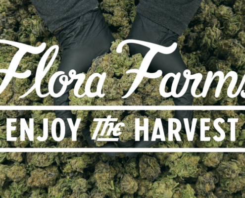 enjoy-the-harvest-with-flora-farms-|-where-to-buy-skittles-moonrock-online