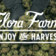 enjoy-the-harvest-with-flora-farms-|-where-to-buy-skittles-moonrock-online