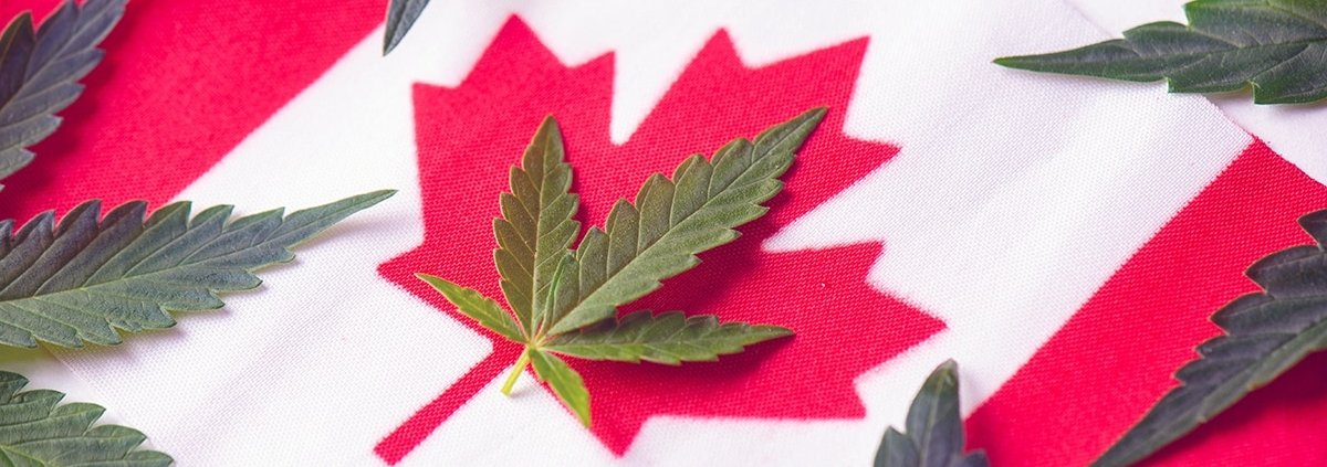 c-|-how-to-order-skittles-moonrock-online